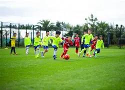 雄安嘉晨沉,水植物助力,攻克水域水,电竞竞猜官网,电子竞技竞猜平台,电竞竞猜官方网站,电竞体育竞猜平台