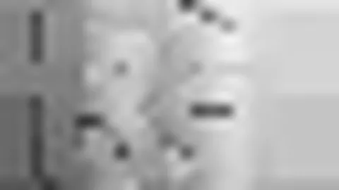 第30届李成智杯少儿象棋锦标赛完美落幕 2025-02-10